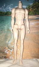 Mizi Adonis siz JOINTED BODY Male Doll Integrity Toys Homme Fashion Royalty type