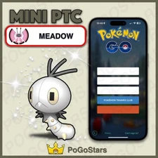 Pokémon PTC GO - Shiny Scatterbug Meadow - 80K Stardust✨Read Description✨