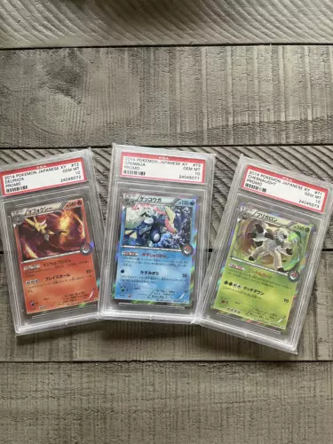 Chenaught, Delphox,&Greninja 071-073/XY-P Summer Vacation Camp Promo SET PSA 10s