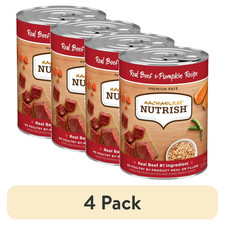 Rachael Ray Nutrish Premium Pat Real Beef Pumpkin Recipe Wet Dog Food, 4 pack