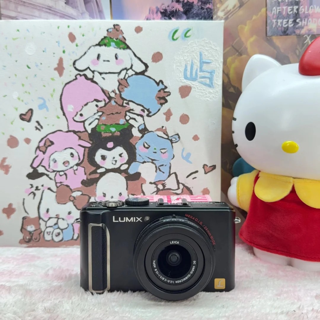 Panasonic LUMIX DMC-LX3 Black Digital Camera 2.5x Optical Zoom