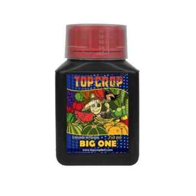 Top Crop Big One 250ml Blühstimulator für Growbox