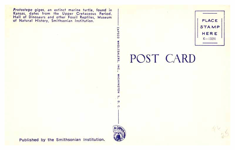 Postcard MUSEUM SCENE State of Kansas KS AR8727 eBay
