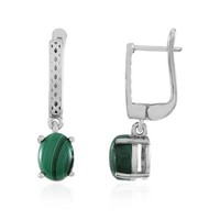 Cavill Malachit Ohrringe Damen 3,5Ct Sterling Silber Plattiert GrüN Oval
