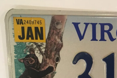 WILDLIFE GRIZZLY BEAR license plate Wild Shenandoah Blue Ridge