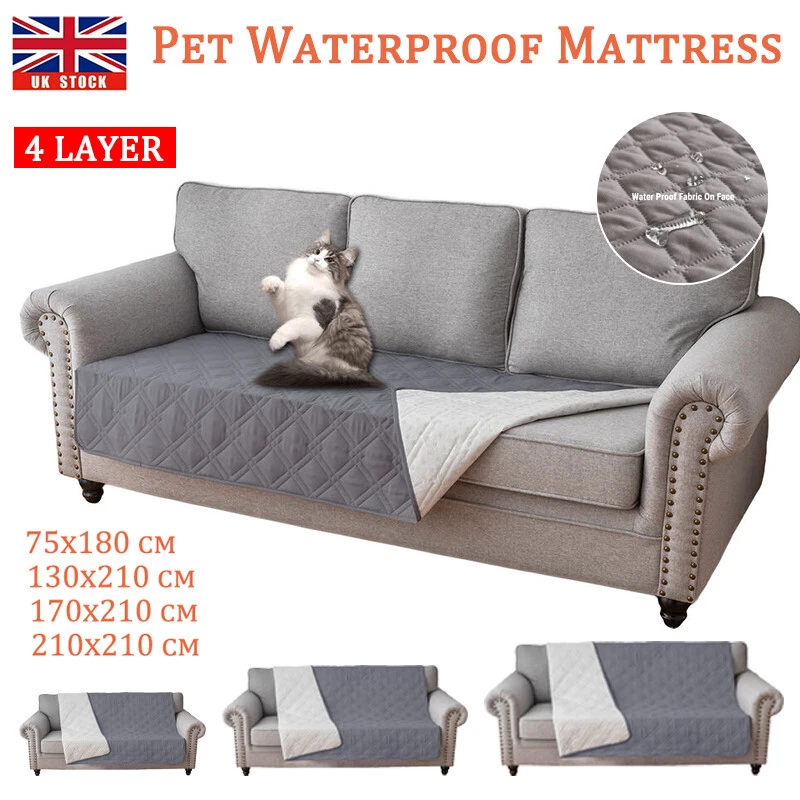 Dog Proof Sofa Throws Uk Baci Living Room