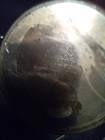 Foto 8 di 8