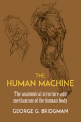 The Human Machine : The Anatomical Structure and Mechanism of the