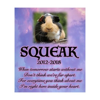 guinea pig remembrance