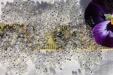 15/0 Toho Seed Beads 42-Silver Lined Crystal 14 grams / 21