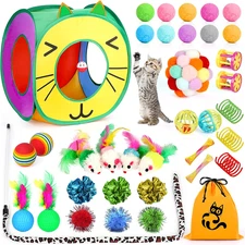 37 PCS Interactive Kitten Toys for Indoor Cats - Variety Set with Collapsible Tu