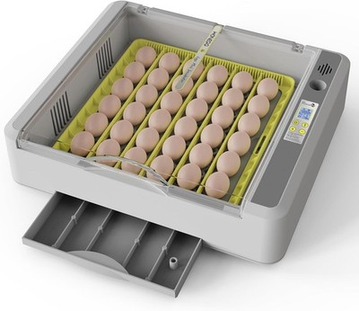 Intelligent Egg Incubator with Panoramic View & Built-in Egg Candler Design