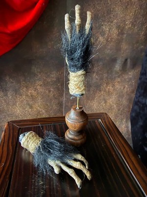 Cursed Monkey Paw for curiosity cabinet Mounted