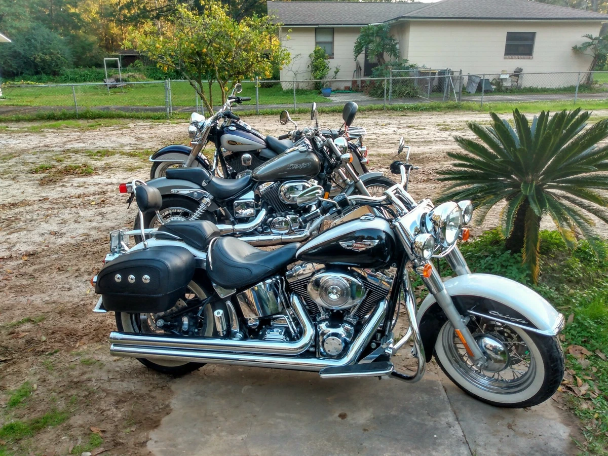 Ebay harley softail online