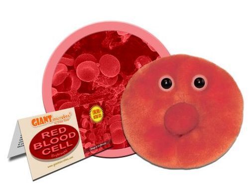 GIANTMICROBES ORIGINAL GLOBULO ROSSO - Eritrocita - Erythrocyte - Red blood cell