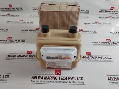Raychem G1.6 16707059 2016 Gas Flow Meter 0.20 Bar