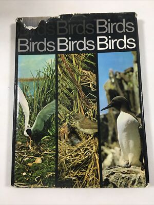 Birds - The Hamlyn Publishing Group LTD (Hardcover, 1971)