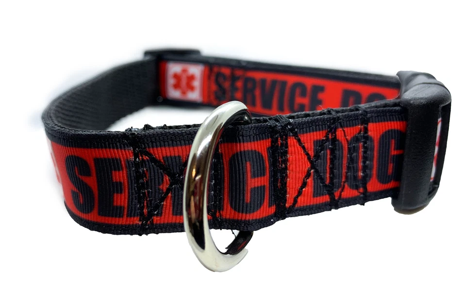 Collar de perro de servicio, collar de perro personalizado, equipo de perro de servicio ajustable ajuste hecho a mano Foto 4 de 4