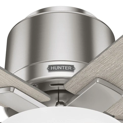 Hunter Fans - Fitzgerald - 5 Blade Ceiling Fan with Light Kit and Pull Chain In - Picture 4 of 4