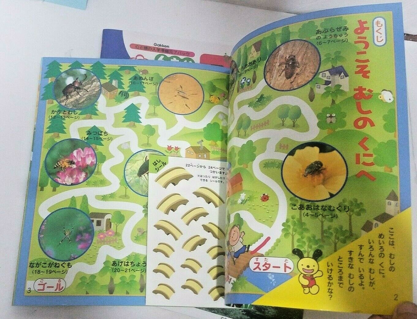 Picture 6 of 9
