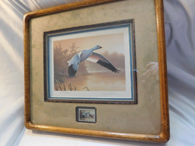Snow Goose Migratory Bird Stamp Print Signed Framed Limited Edition Daniel Smith