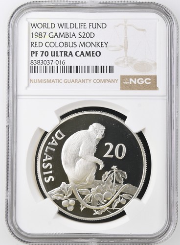 1987 GAMBIA 20 DALASIS WWF RED COLOBUS MONKEY NGC PF70 UCAM SILVER COIN - Picture 5 of 6