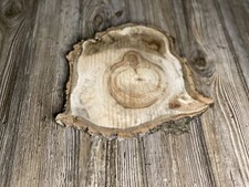Aspen Burl Slice, About 11 Inches Long x 9.5 Inches Wide x 3/4 Inch Thick
