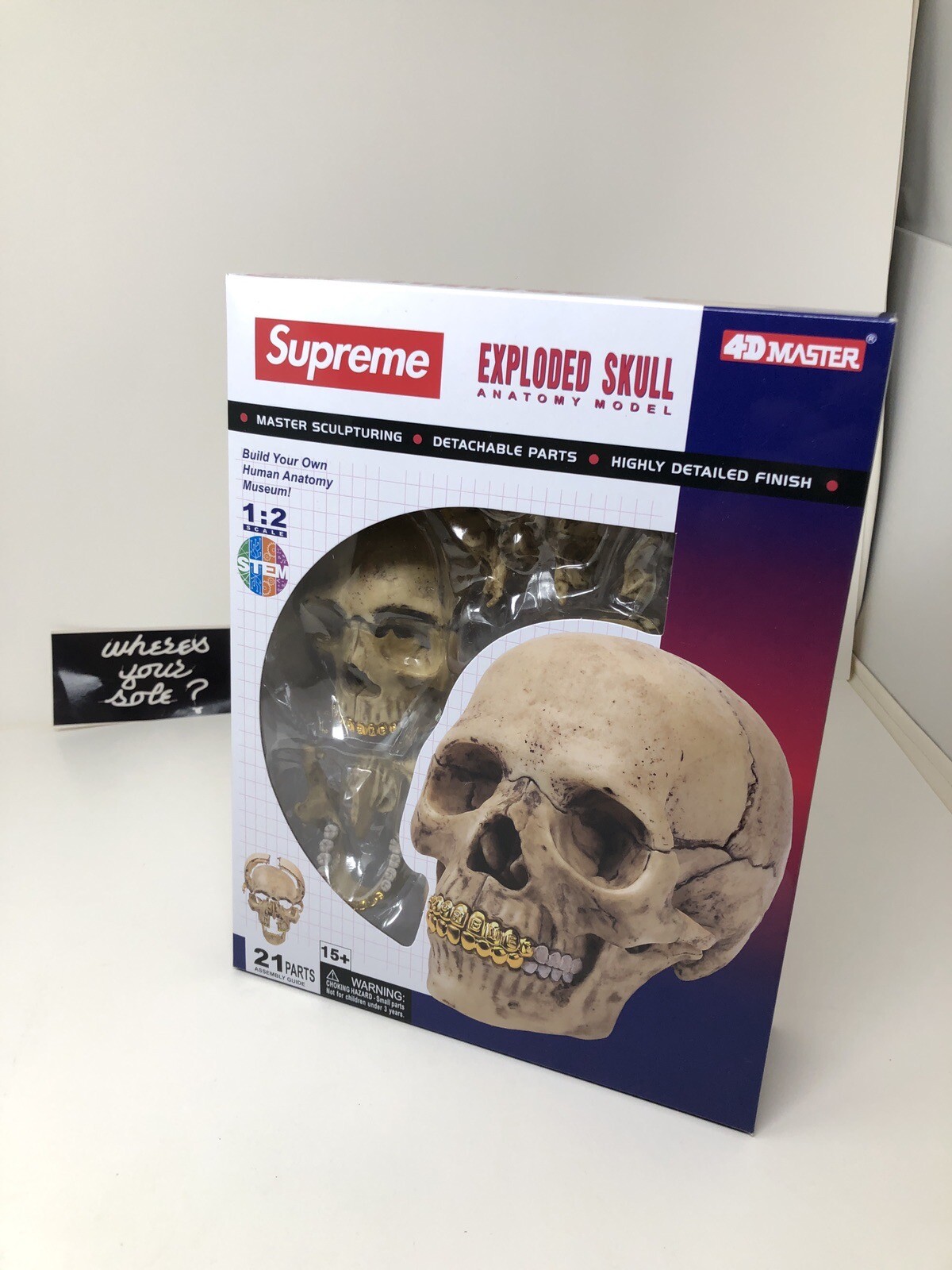 Supreme Human Skull Model 4D 21 Piece Puzzle With Gold Grills FW23