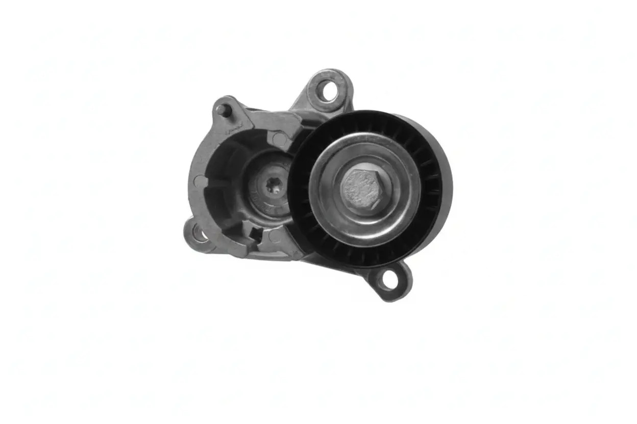 Tendicinghia multirighe 1620041 SASIC per PEUGEOT CITROËN