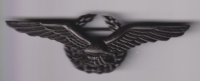 SAS Scandinavia Airlines pilot wing pinback bronze dark finish 1990s