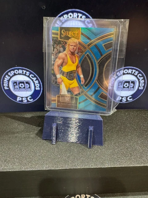 Mr Perfect  - £1 Start Ebay Live Auction 17/10/25