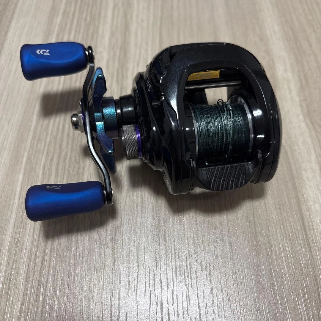 Las mejores ofertas en Daiwa baitcasting carretes de pesca | eBay