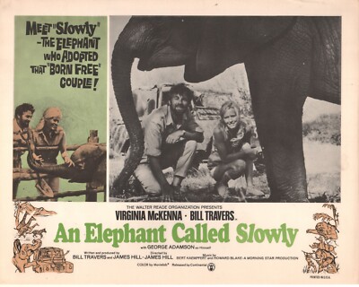 An Elephant Called Slowly (1970) 11x14 Lobby Card #nn