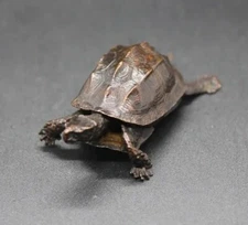 Brass Dragon Turtle Animal Statue Small Sculpture Desk Tabletop Figurine Decor