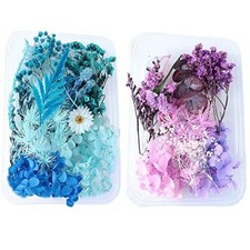 2 Scatola Fiori Secchi Naturali, Fiori Secchi Per Resina, Fiori Secchi Veri,Fior