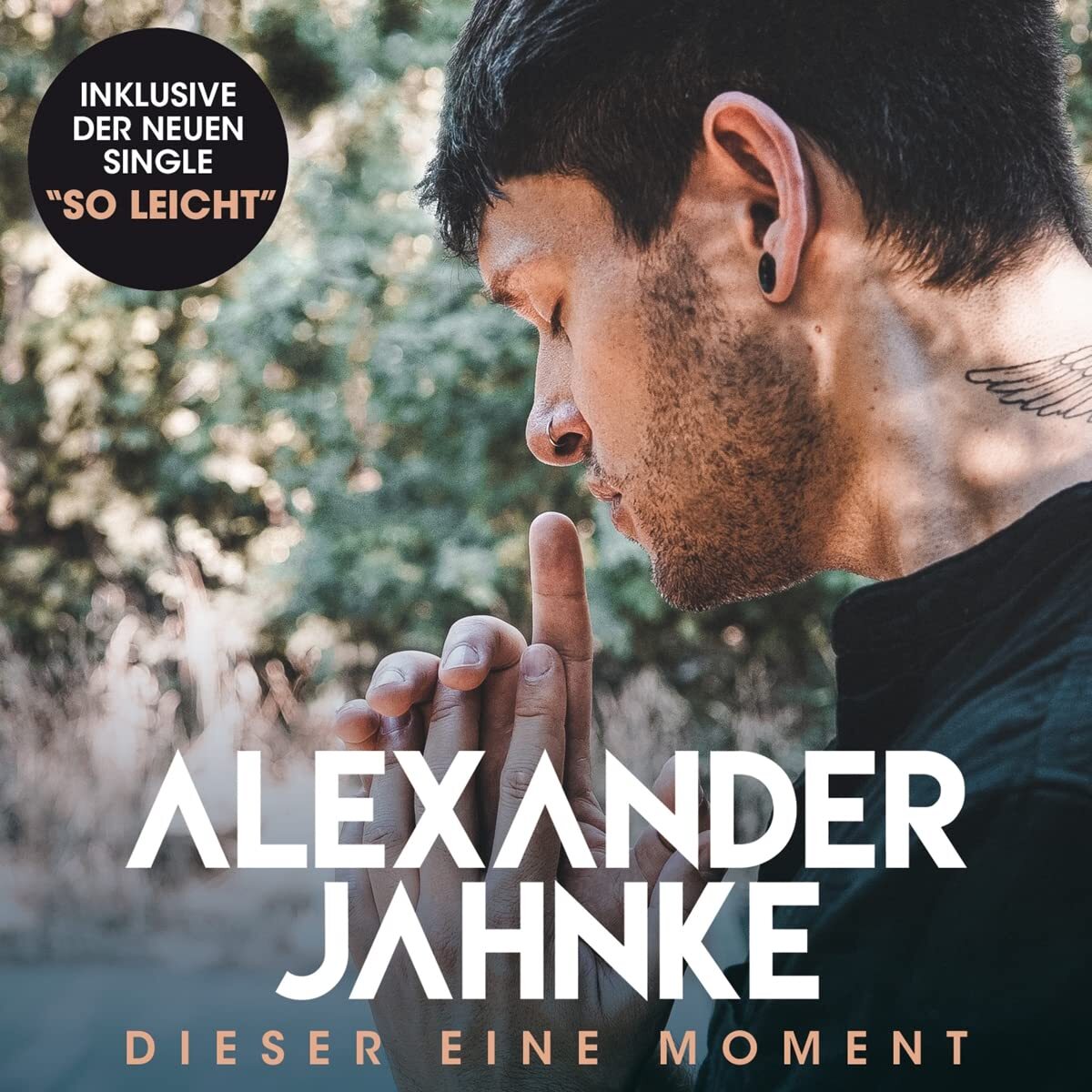 Jahnke,Alexander Dieser Eine Moment (CD)