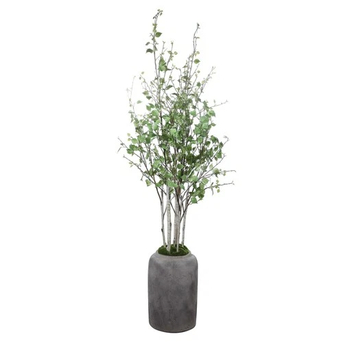 Uttermost - River Birch - Accessories - Aldis  - 77.5 inch Potted River Birch - Picture 1 of 4