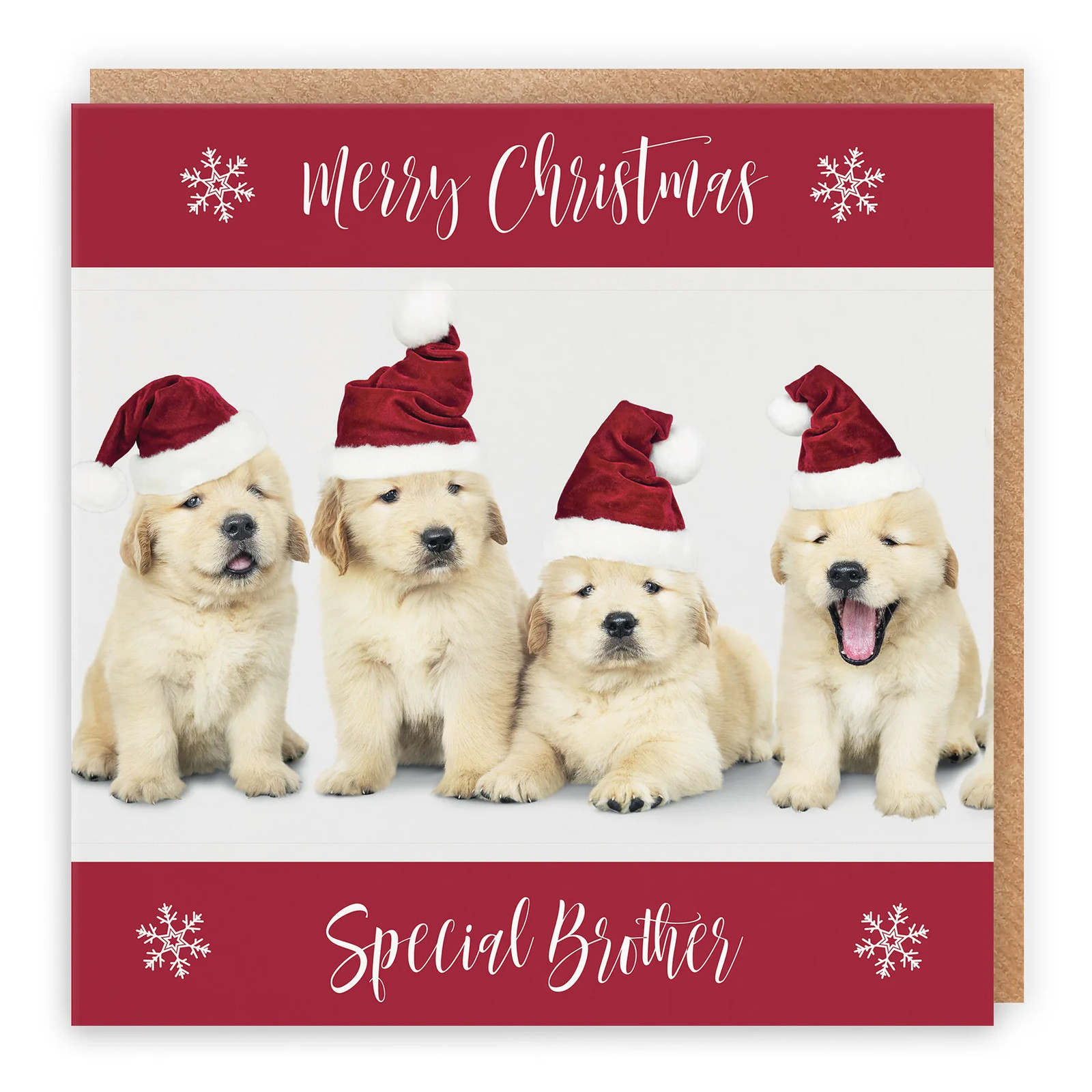 Brother Christmas Card Puppy