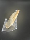 Foto 3 di 10