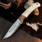 9.0" EDC Hunting Damascus Knife Handmade Full Tang Hybrid Handle Leather Sheath — photo 2