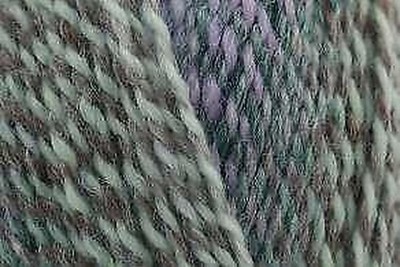 Stylecraft Chromatic DK Double Knitting Yarn Wool 100g 7301 Frosted Flora