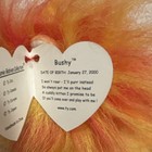 Beanie Babies Bushy the Lion - Full & McDonalds Size — photo 4