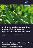 Chlorofylgehalte Aan Het Einde Van De Cowpea-Cyclus In Consortium Met Buch 2024