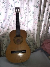 Acoustic Guitar Encore Enc36n 2string Missing