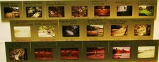 19 COLOR SLIDES IN THE BOX 35mm/2"x2" slides 1973