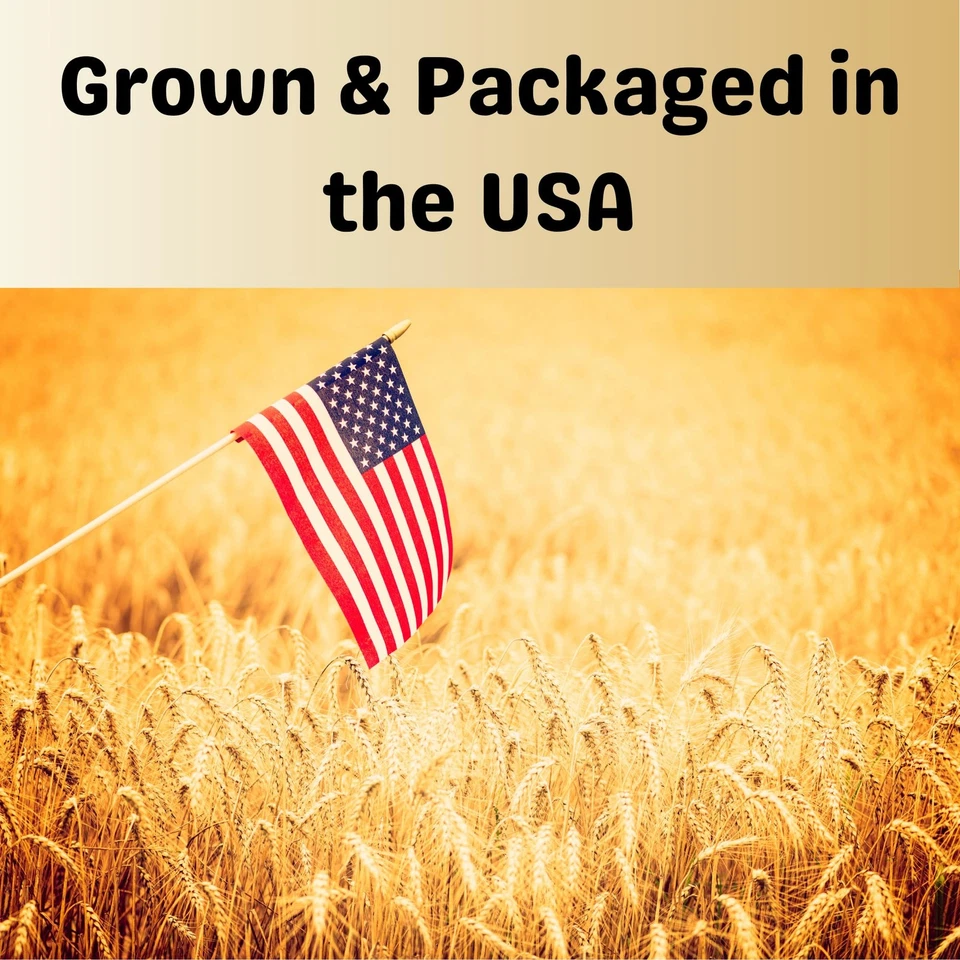 White Proso Millet Seeds for Birds - 10 lbs Unhulled, Bulk Wild Bird Seed, Id... - Image 4 of 4