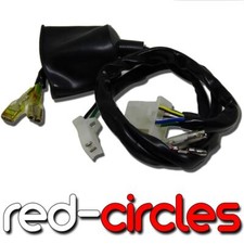 CABLAGGIO PIT BIKE TELAIO/IMBRACATURA TIPO PIÙ COMUNE adatto 50cc 110cc 125cc PITBIKE