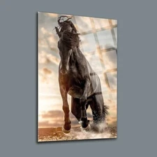 Horse On The Beach Tempered Glass Wall Art,  Fade Proof Home Decor Wall Art