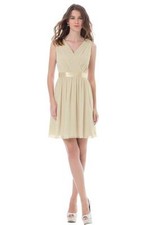 Bill Levkoff Bridesmaid Dress 395 Prom Wedding Short Gown Sleeveless Chiffon NEW