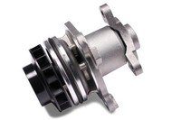 Hepu Wasserpumpe P964 FüR Nissan Renault Opel